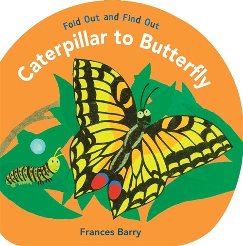 Caterpillar to Butterfly: Fold Out and Find Out (Hardcover)