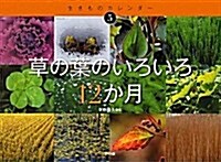 草の葉のいろいろ12か月 (生きものカレンダ-) (大型本)