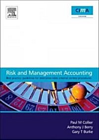 Risk and Management Accounting: Best Practice Guidelines for Enterprise-Wide Internal Control Procedures                                               (Paperback)