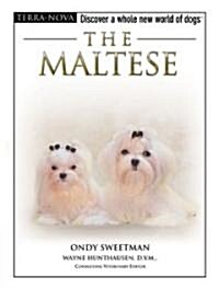 The Maltese [With DVD] (Hardcover)