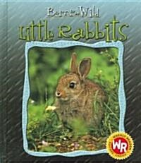 Little Rabbits (Library Binding)