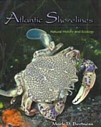 Atlantic Shorelines: Natural History and Ecology (Paperback)