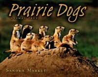 Prairie Dogs: Animal Prey (Library Binding)