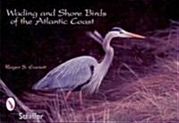 Wading & Shore Birds of the Atlantic Coast (Paperback)