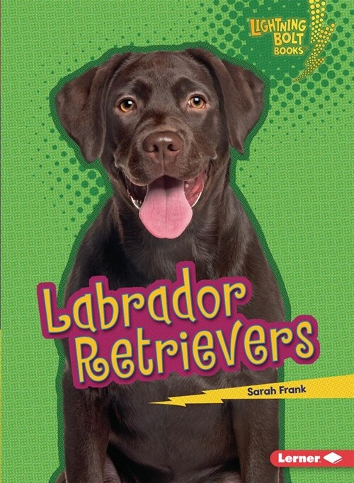 Labrador Retrievers (Paperback)