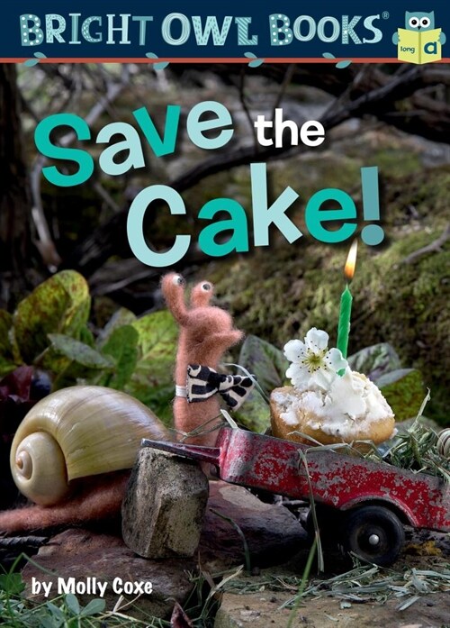 Save the Cake! (Paperback)