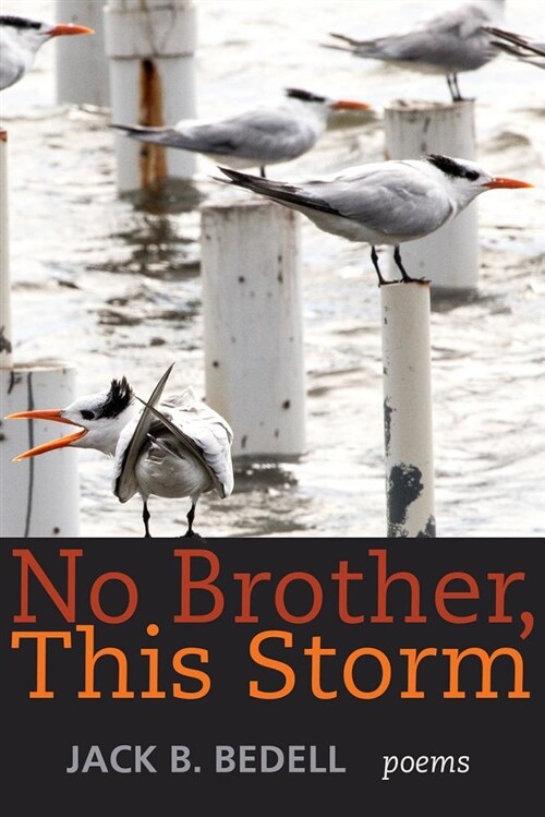No Brother This Storm (Paperback)