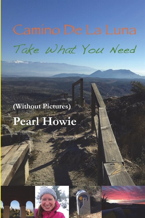 Camino de la Luna - Take What You Need (Without Pictures) (Paperback)