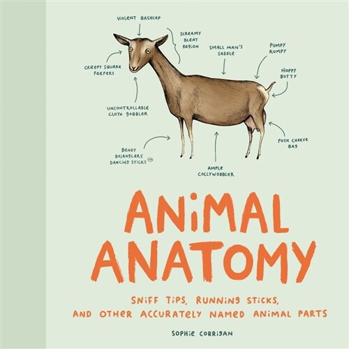 Animal Anatomy: Sniff Tips, Running Sticks, and Other Accurately Named Animal Parts (Hardcover)