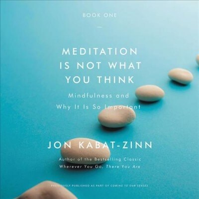 Meditation Is Not What You Think Lib/E: Mindfulness and Why It Is So Important (Audio CD)