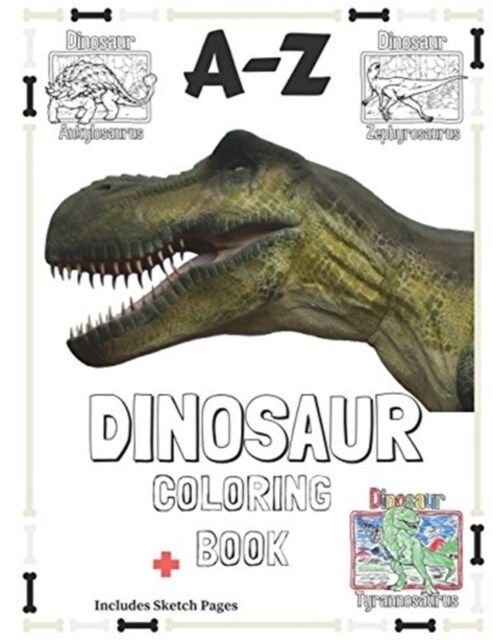A-Z Dinosaur Coloring Book: 8.5x11 Multi Dinosaur Coloring Book for Kids with Sketch Pages (Paperback)