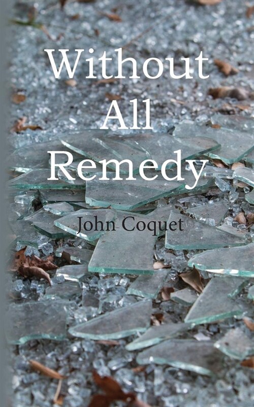 Without All Remedy (Paperback)