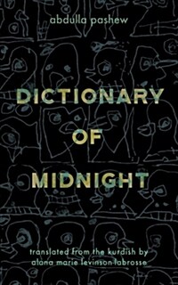 Dictionary of Midnight (Paperback)