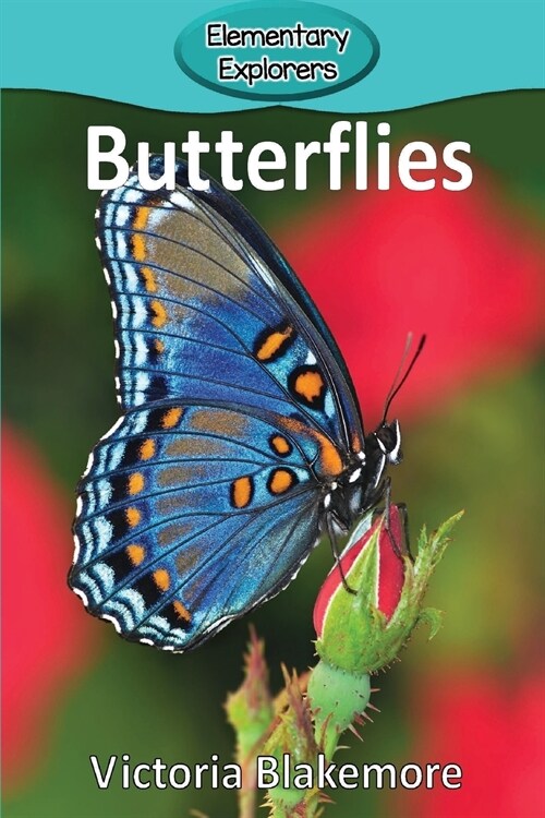 Butterflies (Paperback)