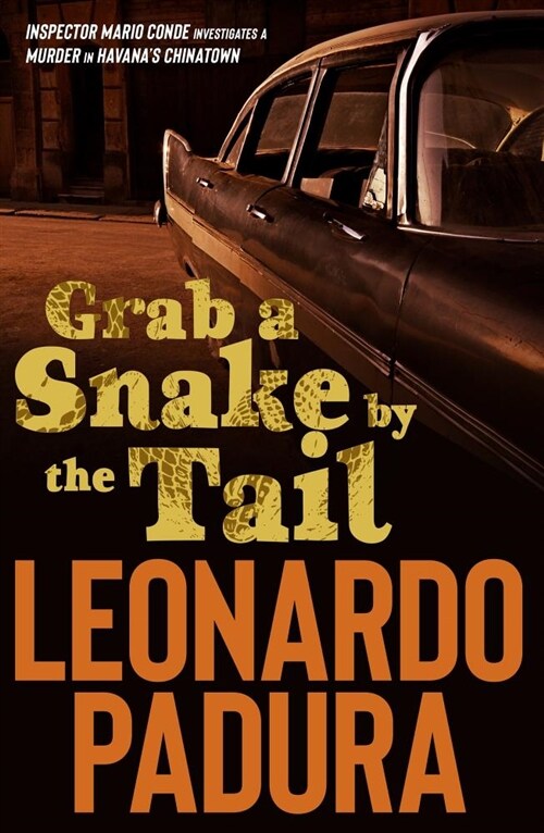 Grab a Snake by the Tail (Paperback)