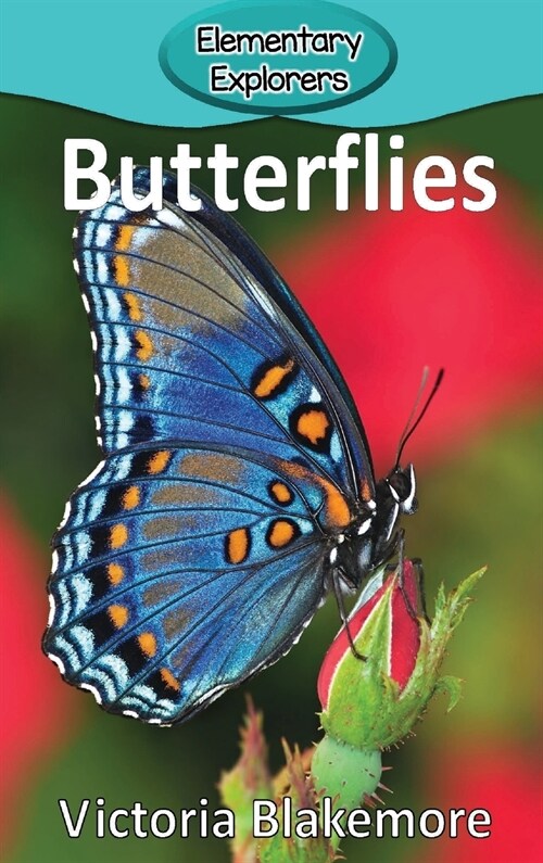 Butterflies (Hardcover)