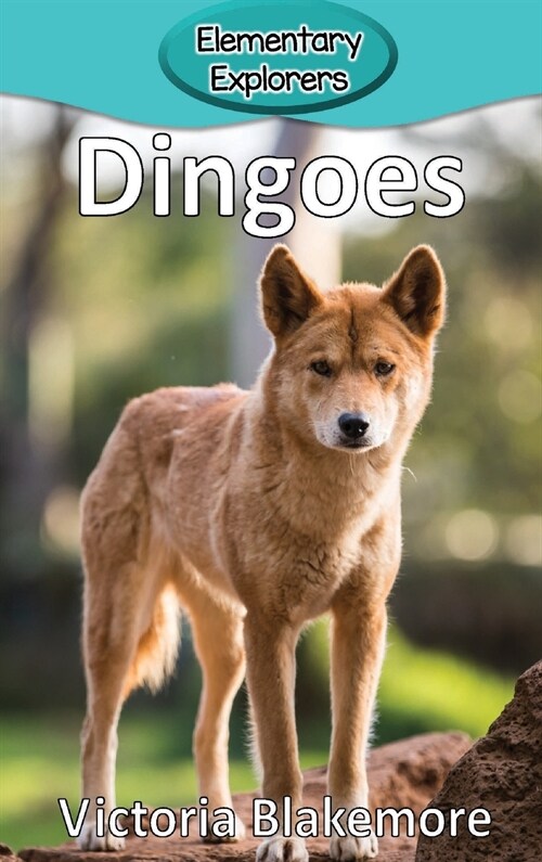 Dingoes (Hardcover)
