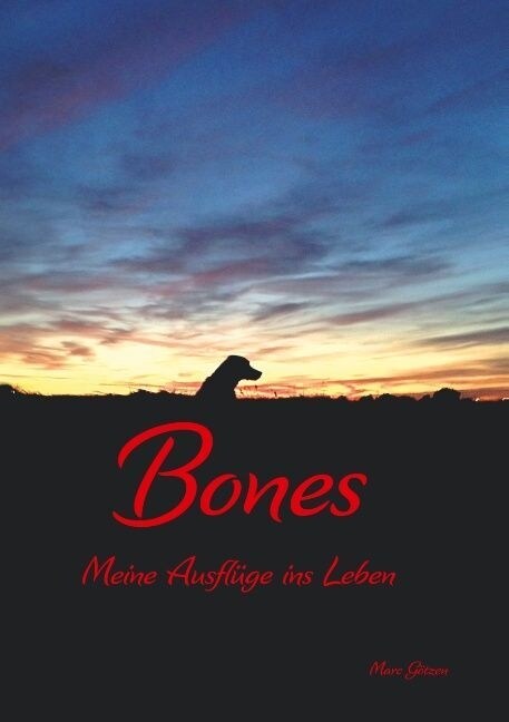 Bones (Paperback)