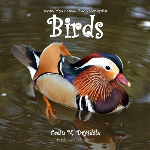 Draw Your Own Encyclopaedia Birds (Paperback)
