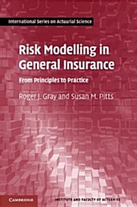 Risk Modelling in General Insurance : From Principles to Practice (Hardcover)