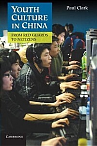 Youth Culture in China : From Red Guards to Netizens (Paperback)