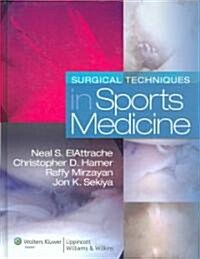 Surgical Techniques in Sports Medicine (Hardcover)