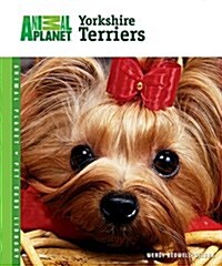 Yorkshire Terriers (Hardcover)