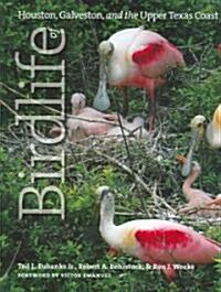 Birdlife of Houston, Galveston, And the Upper Texas Coast (Hardcover)