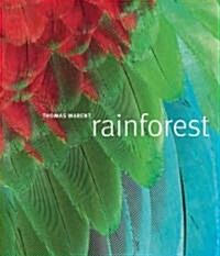 Rainforest (Hardcover)