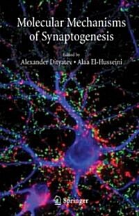 Molecular Mechanisms of Synaptogenesis (Hardcover, 2006)
