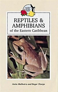 Reptiles and Amphibians of the Eastern Caribbean (Paperback)