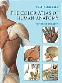 The Color Atlas of Human Anatomy (Paperback)