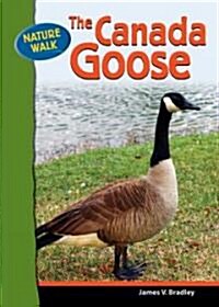 The Canada Goose (Library Binding)