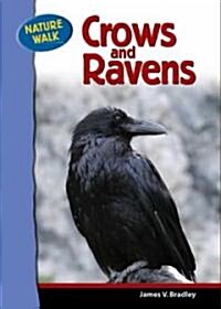 Crows and Ravens (Library Binding)