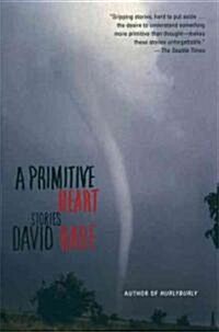 A Primitive Heart: Stories (Paperback)