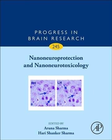 Nanoneuroprotection and Nanoneurotoxicology (Hardcover)