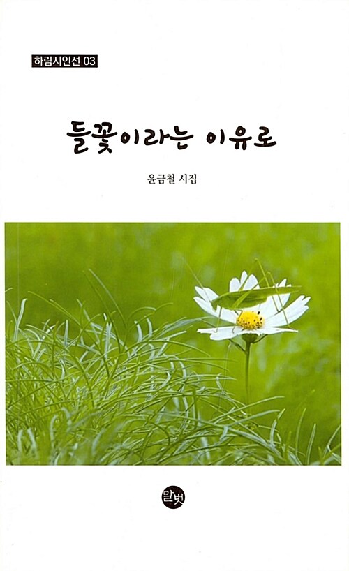 들꽃이라는 이유로