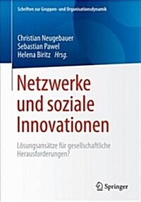Netzwerke Und Soziale Innovationen: L?ungsans?ze F? Gesellschaftliche Herausforderungen? (Paperback, 1. Aufl. 2019)