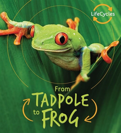 From Tadpole to Frog (Library Binding)