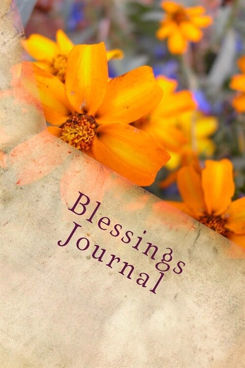 Blessings Journal: Writing Journal (Paperback)