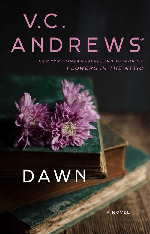 Dawn (Paperback)