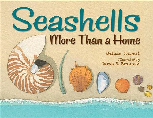 Seashells: More Than a Home (Hardcover)