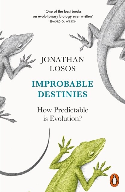 Improbable Destinies : How Predictable is Evolution? (Paperback)