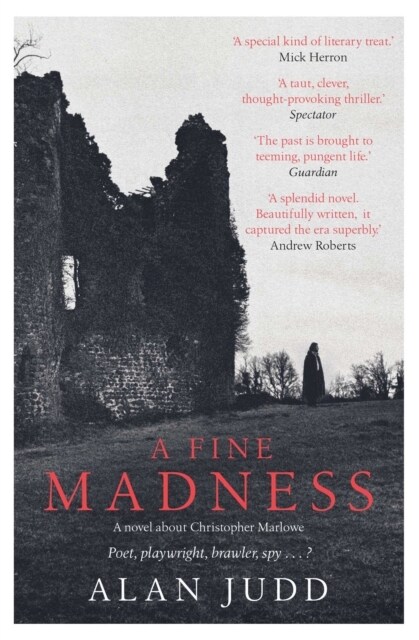 A Fine Madness : Sunday Times Historical Fiction Book of the Month (Paperback)