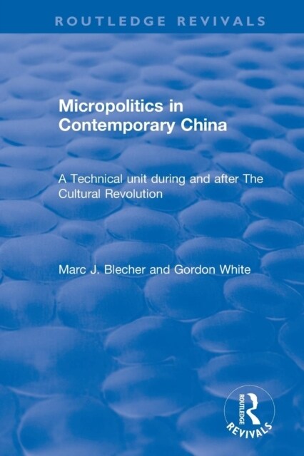 Micropolitics in Contemporary China (Paperback)