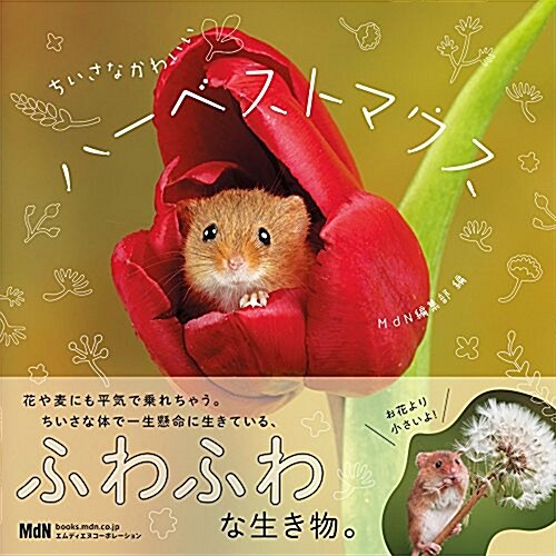 ちいさなかわいいハ-ベストマウス (單行本(ソフトカバ-))