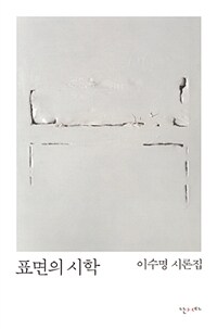 표면의 시학