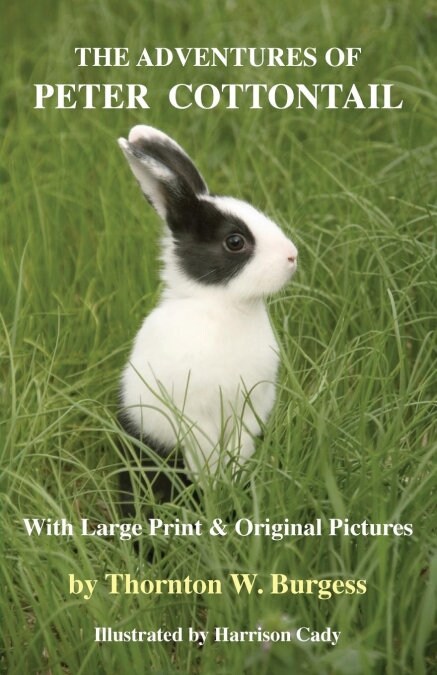 The Adventures of Peter Cottontail: With Large Print and Original Pictures (Paperback)