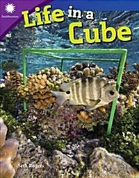 Life in a Cube (Paperback)