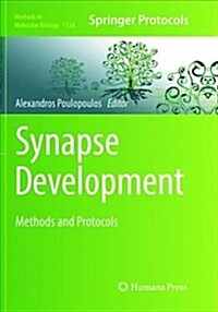 Synapse Development: Methods and Protocols (Paperback)
